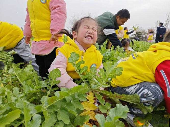 美女老师与学生一同欢乐拔萝卜啦